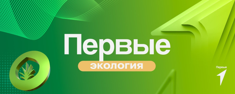 "Юннатская страна" расцветает: юные аграрии осваивают новые горизонты!.